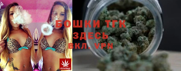 альфа пвп Новодвинск