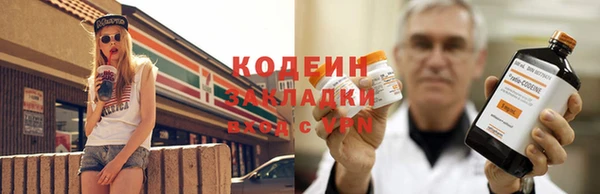 молекула духа Новозыбков