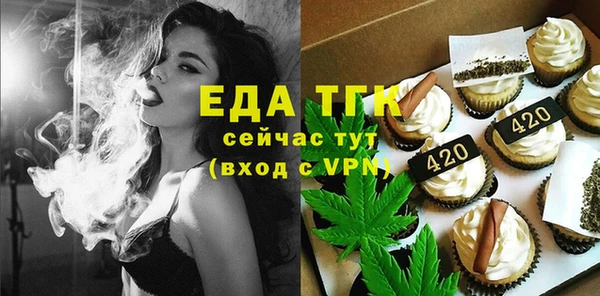 молекула духа Новозыбков