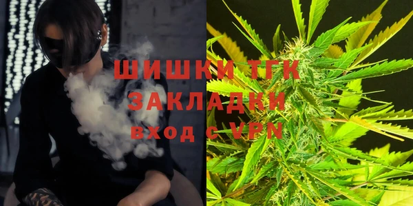молекула духа Новозыбков