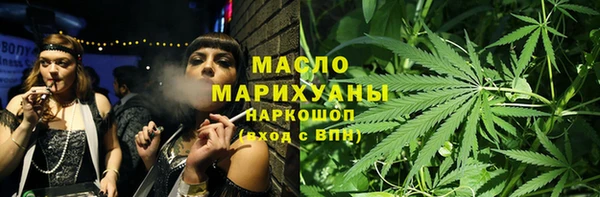 молекула духа Новозыбков