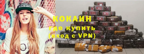молекула духа Новозыбков