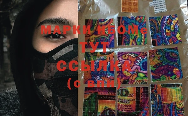 молекула духа Новозыбков