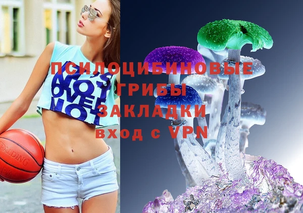 молекула духа Новозыбков