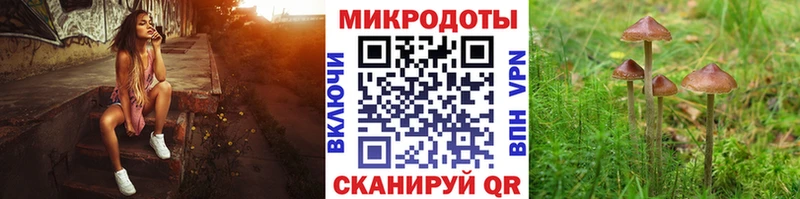 Галлюциногенные грибы Cubensis  Димитровград 