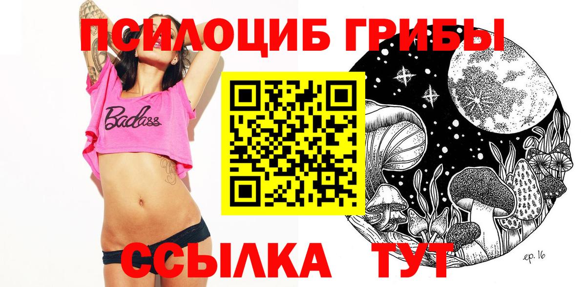 Псилоцибиновые грибы Димитровград