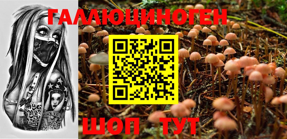 Галлюциногенные грибы Psilocybine cubensis  Галлюциногенные грибы прущие грибы  Вход с VPN  Димитровград 