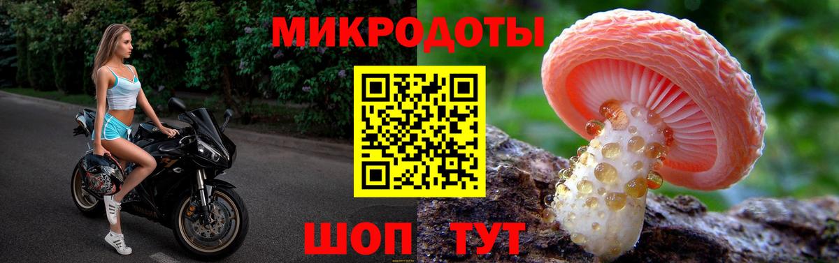 Галлюциногенные грибы Cubensis Димитровград