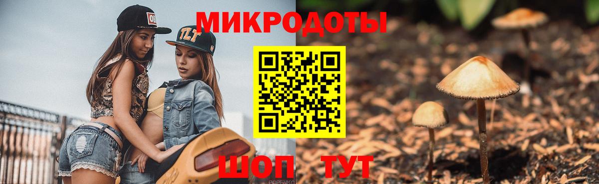 Псилоцибиновые грибы мухоморы  Димитровград 